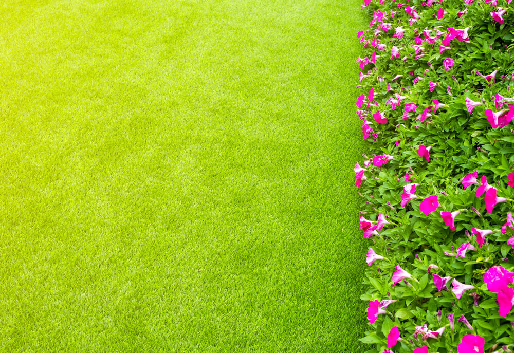 Combining Artificial Grass with Real Plants 