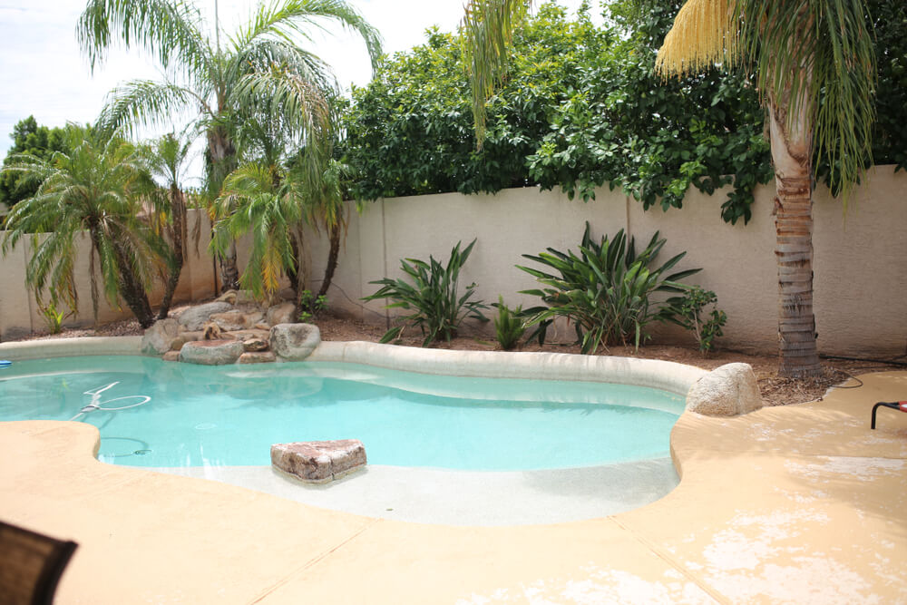 Backyard pool oasis with palm trees.